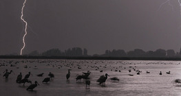 Цахилгаан цахих (аянга)