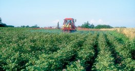 Тал хээр нь газар тариалангийн хамгийн чухал хэсэг юм