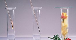 Хүчилтөрөгч шаталтыг дэмждэг, азот шаталтыг дэмждэггүй, хлор цайруулдаг