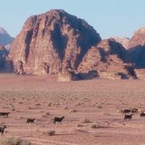 Вади гэдэг нь хуурай голын ёроол гэсэн утгатай араб үг юм