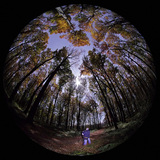 Тэргэл сартай байгалийн зураг загасны нүдэн одтикоор харахад