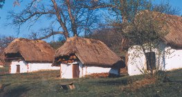 Зэгсэн оройтой башингууд