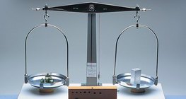 Хоёр тавагтай жинлүүр