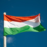 Унгар улсын туг