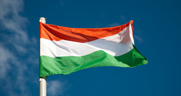 Унгар улсын туг