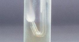 Устөрөгч нь хлорын хий дотор ч "шатсаар" байх болно