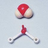 Усны молекулын бөмбөлөг, мөн иштэй бөмбөлөг загвар