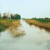 Öntözőcsatorna az Alföldön