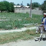 Тураны талын хагас цөлөрхөг газар