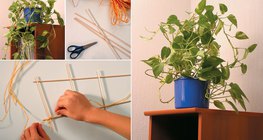 Шорлогоор цэцгийн шат хийх