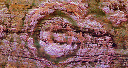 Аорунга тогоо