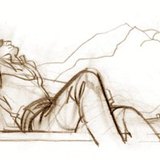 Нарны туяаг шингээдэг биес халдаг