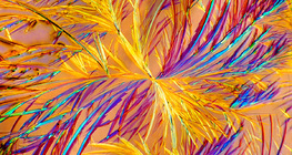 Аминофиллин (эмийн) талстууд