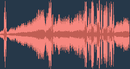 Western yellow wagtail