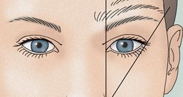 Төрөл бүрийн урттай хөмсөг