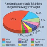 Kördiagram