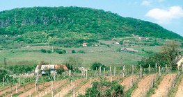 Slope-parallel ploughing increases soil erosion