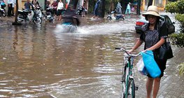 Борооны улирал