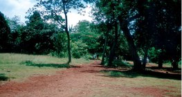 Laterite, the typical soil of the Equatorial belt