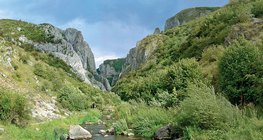 Торда хавцал