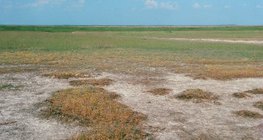 Хужиртай хөрс