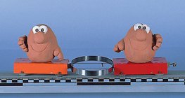 Пүршээр хоёр биеийг түлхэх