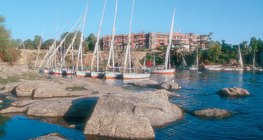 Нил бол Египетийн амьдруулагч гол судас юм