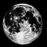 Сарны үе шатууд