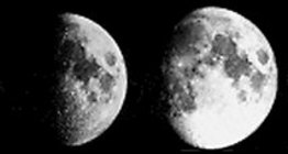 Сарны үе шатууд