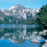 Пиренейн уулс