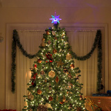 Зул сарын мод