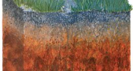 Ойн хүрэн хөрс