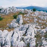 Karst landscape