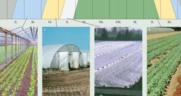 Ногоо тарих арга замууд