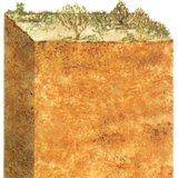 Элсэнцэр хөрс