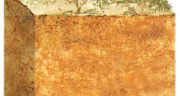 Элсэнцэр хөрс