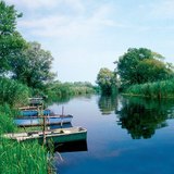 Зэгс нь голоос нуур руу урсан орох усыг цэвэрлэдэг