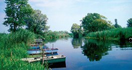 Зэгс нь голоос нуур руу урсан орох усыг цэвэрлэдэг