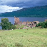 Далайн цаг уурын бүс дэх ногоон нуга