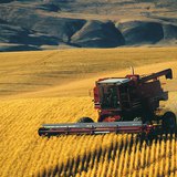 Ургац хураах