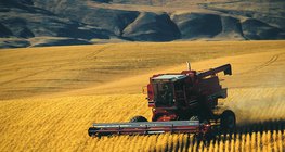 Ургац хураах