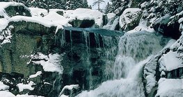 Mountain stream in the Tatras