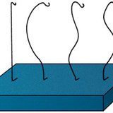 Нугасны үзлэг