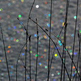 Гялтганаан