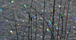 Гялтганаан