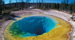 Халуун рашаан