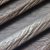 Шувууны өдний нарийн бүтэц, хооронд нь холбох дэгээнүүд ч харагдаж байна