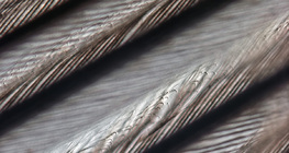 Шувууны өдний нарийн бүтэц, хооронд нь холбох дэгээнүүд ч харагдаж байна