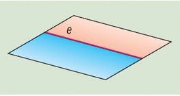 Хагас хавтгай