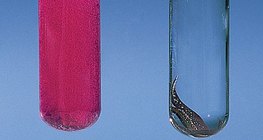 Кальци болон зэс устай урвалд орох